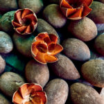 Recorrido gastronmico por Oaxaca