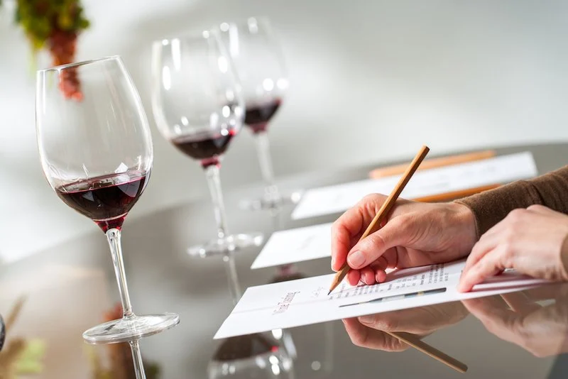 ¿Cómo convertirte en sommelier?