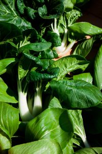 huerto shiso