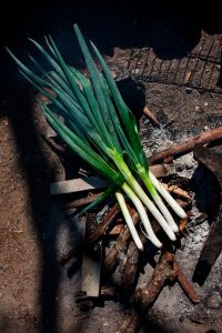 huerto shiso