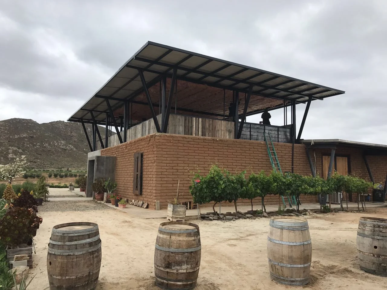 El origen los vinos Torres Alegre