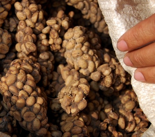 productos de lujo