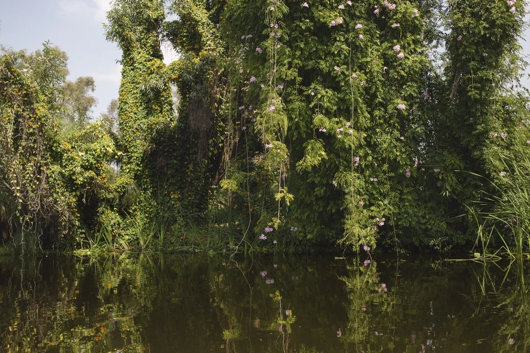 Las chinampas de Xochimilco: el oasis secreto de la ciudad