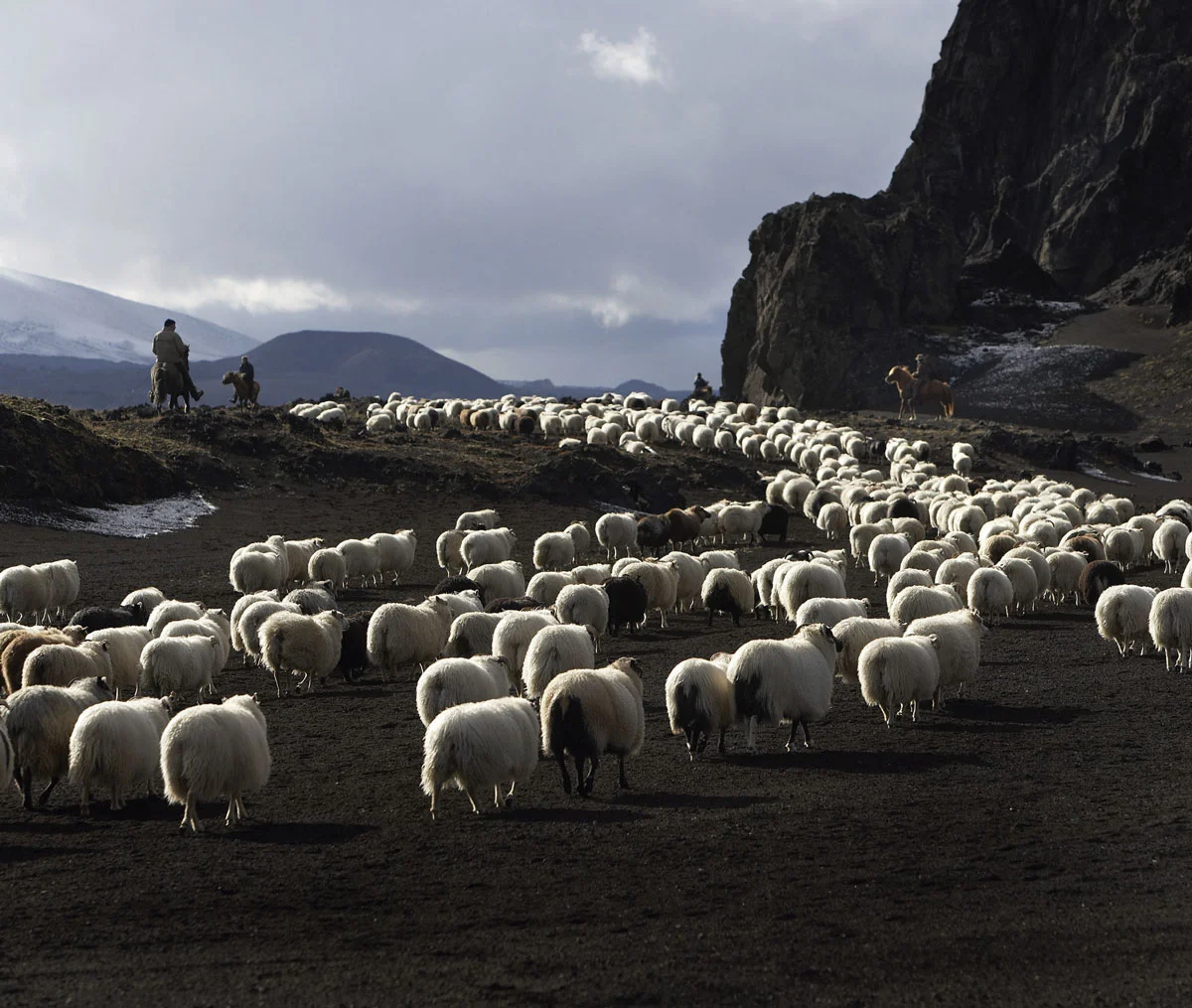 De la tierra a Islandia