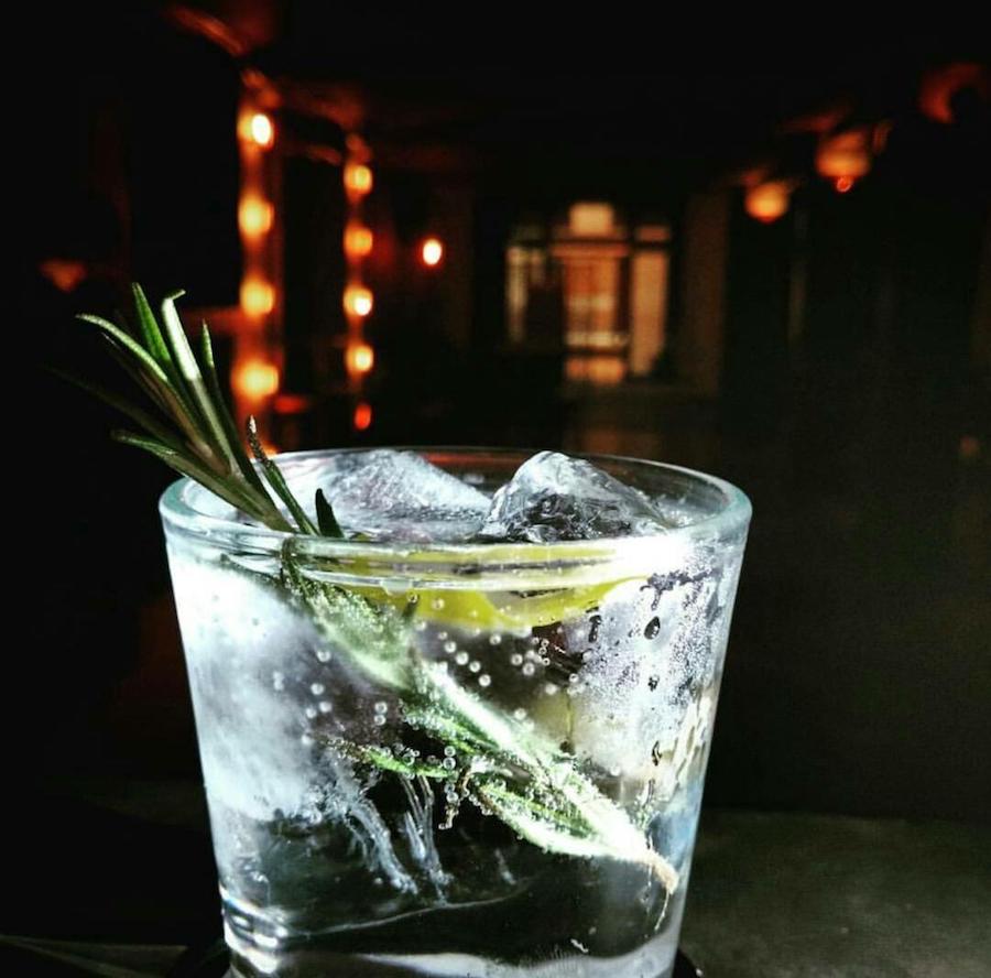 gin tonic