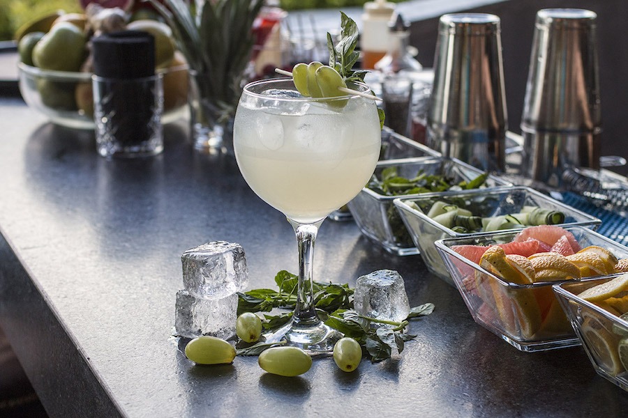 ginebra gin tonic