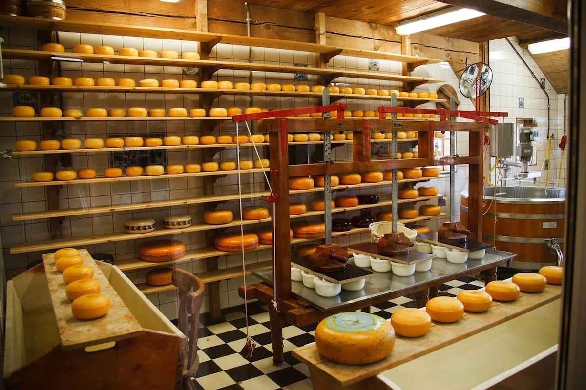 5 destinos queseros para food lovers