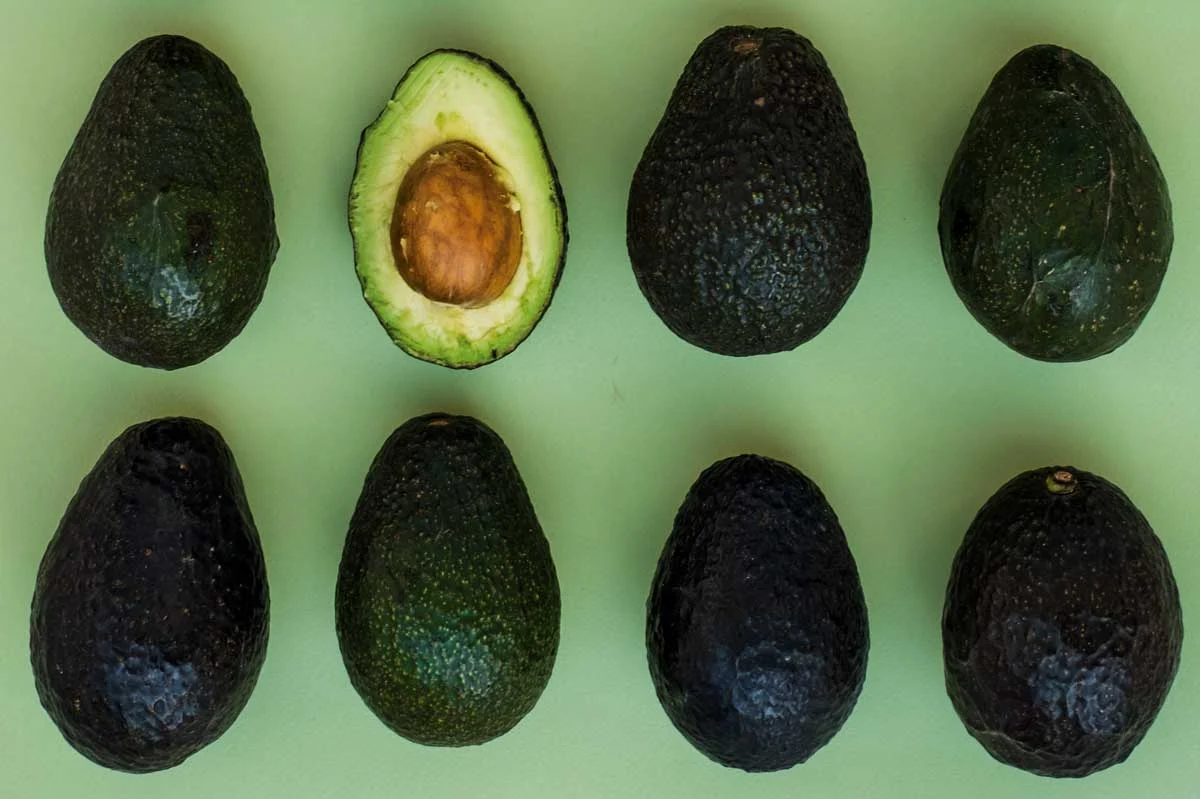 Aguacate: el oro verde mexicano