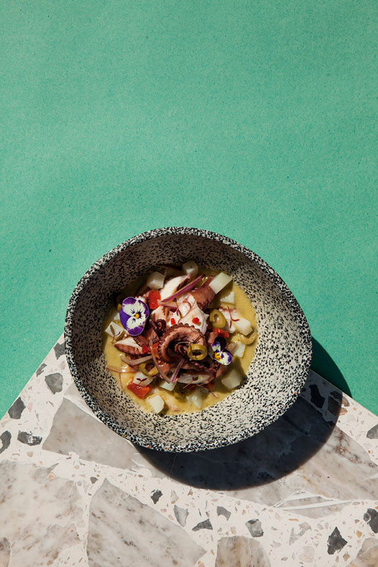 ceviche de pulpo