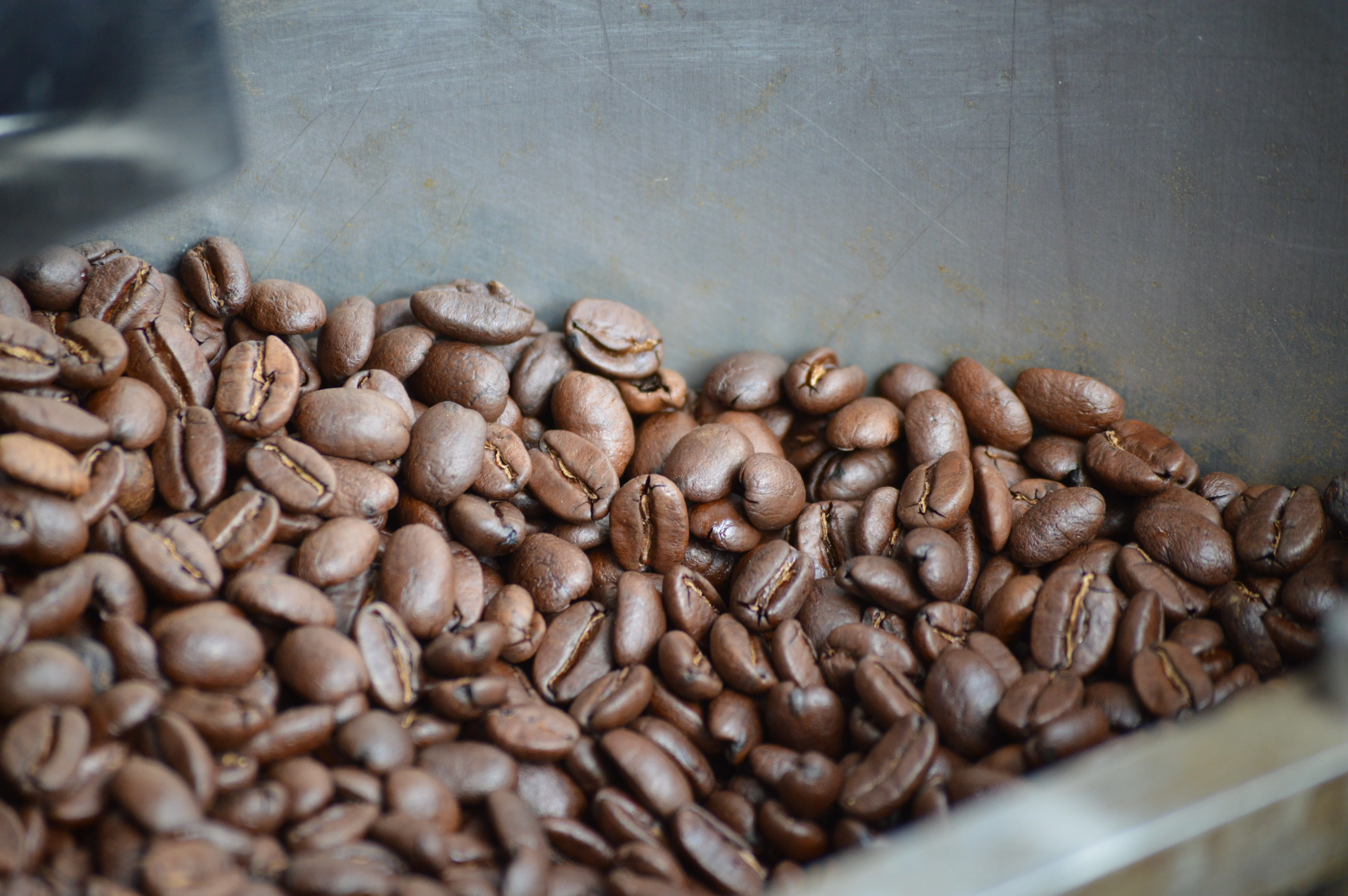 El café frío por el que vale la pena esperar 18 horas