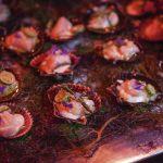 lanzamiento food and wine
