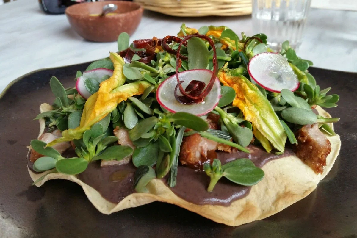 ¿Dónde comer en Oaxaca?