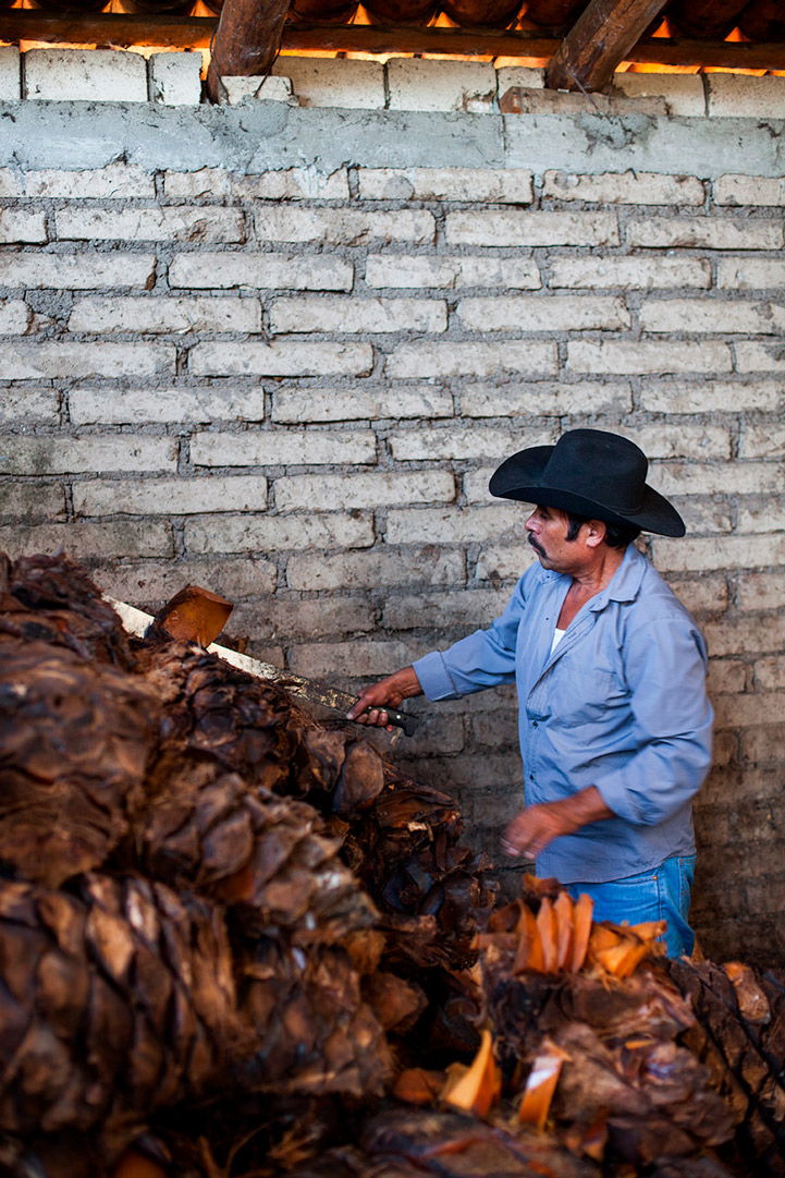 montelobos mezcal destileria