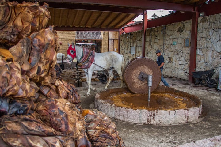 mezcal destileria danzantes