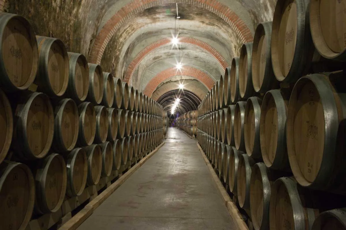 Protos: La Bodega más visitada de la Ribera del Duero Protos: La Bodega más visitada de la Ribera del Duero