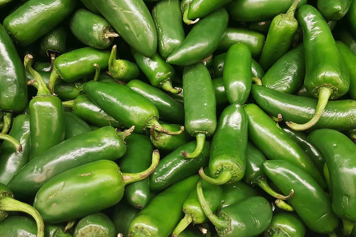 ¿Cómo se llaman los chiles frescos cuando los secan?