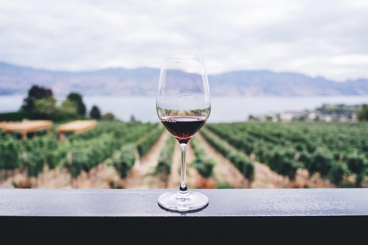 4 vinos chilenos para probar este verano
