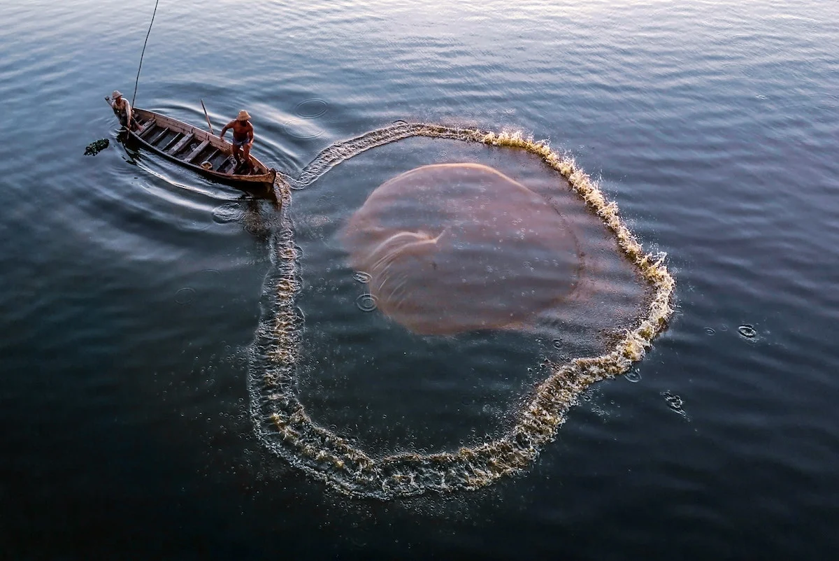 Mitos y realidades de la pesca sustentable en México