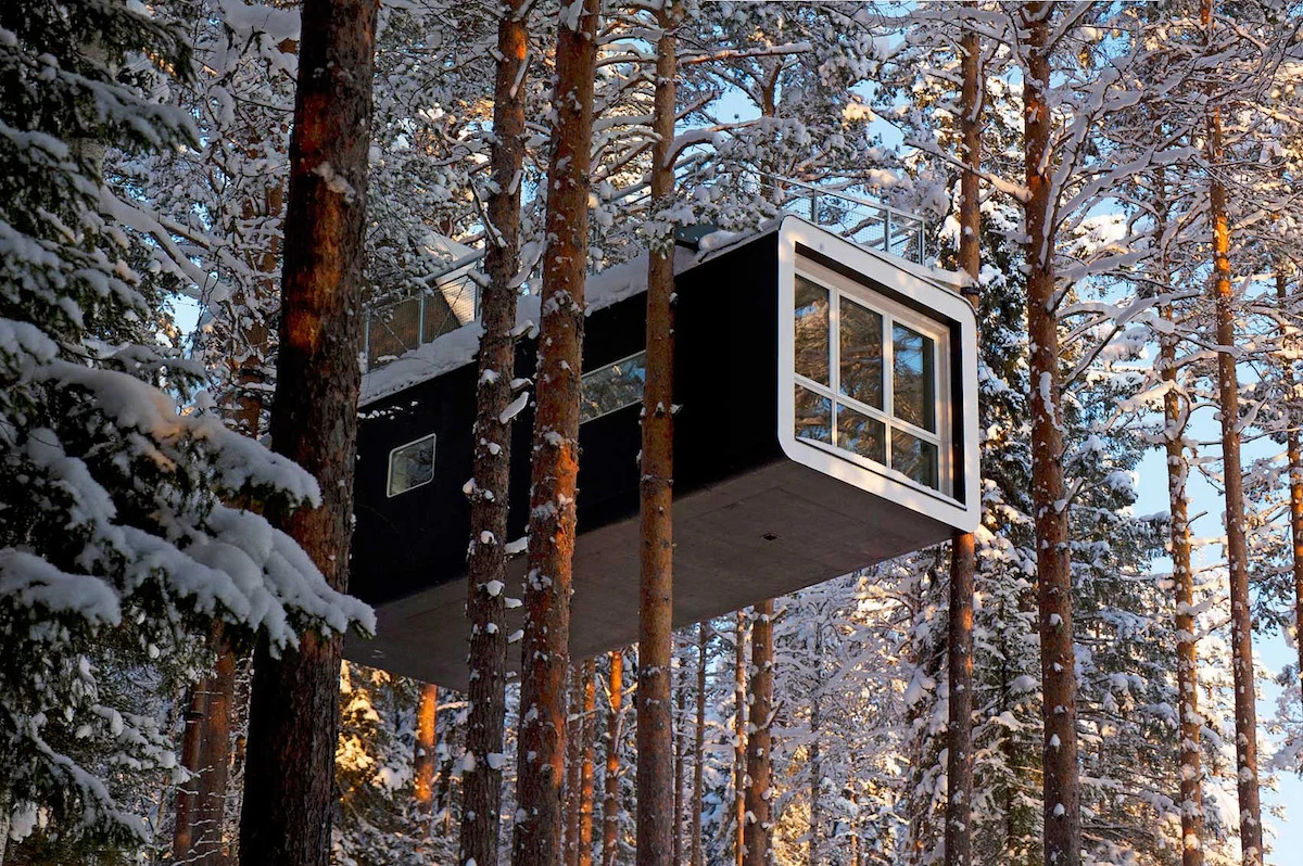 Casas del árbol en las que te puedes hospedar