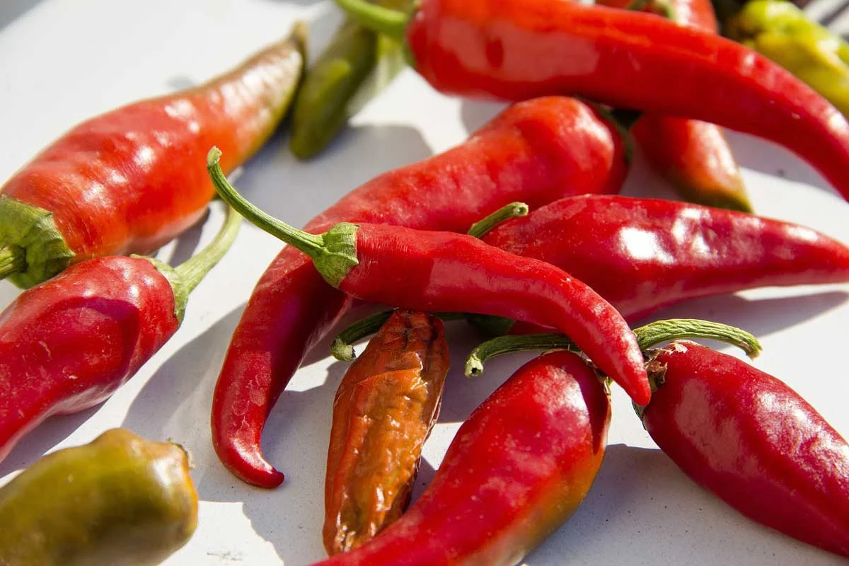 ¿Por qué el mexicano come tanto picante?