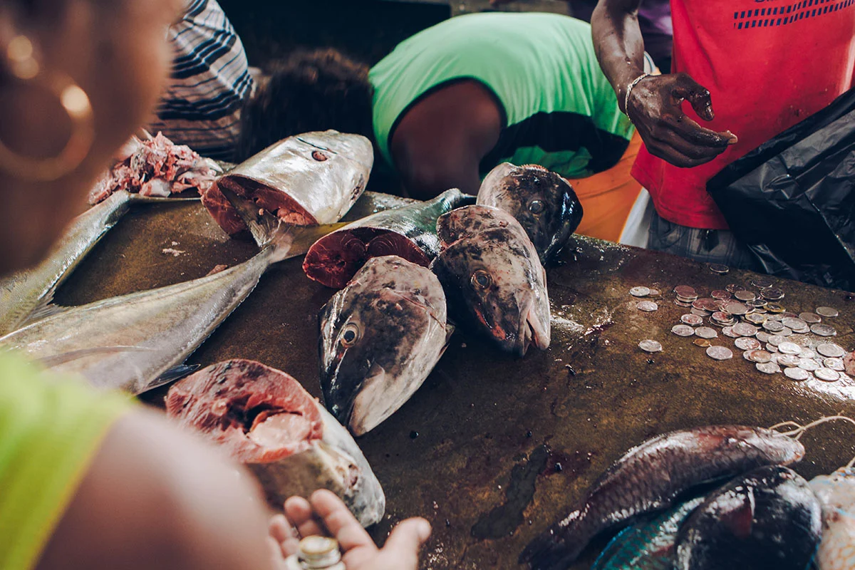 Tsujiki: el mercado de pescado más grande del mundo