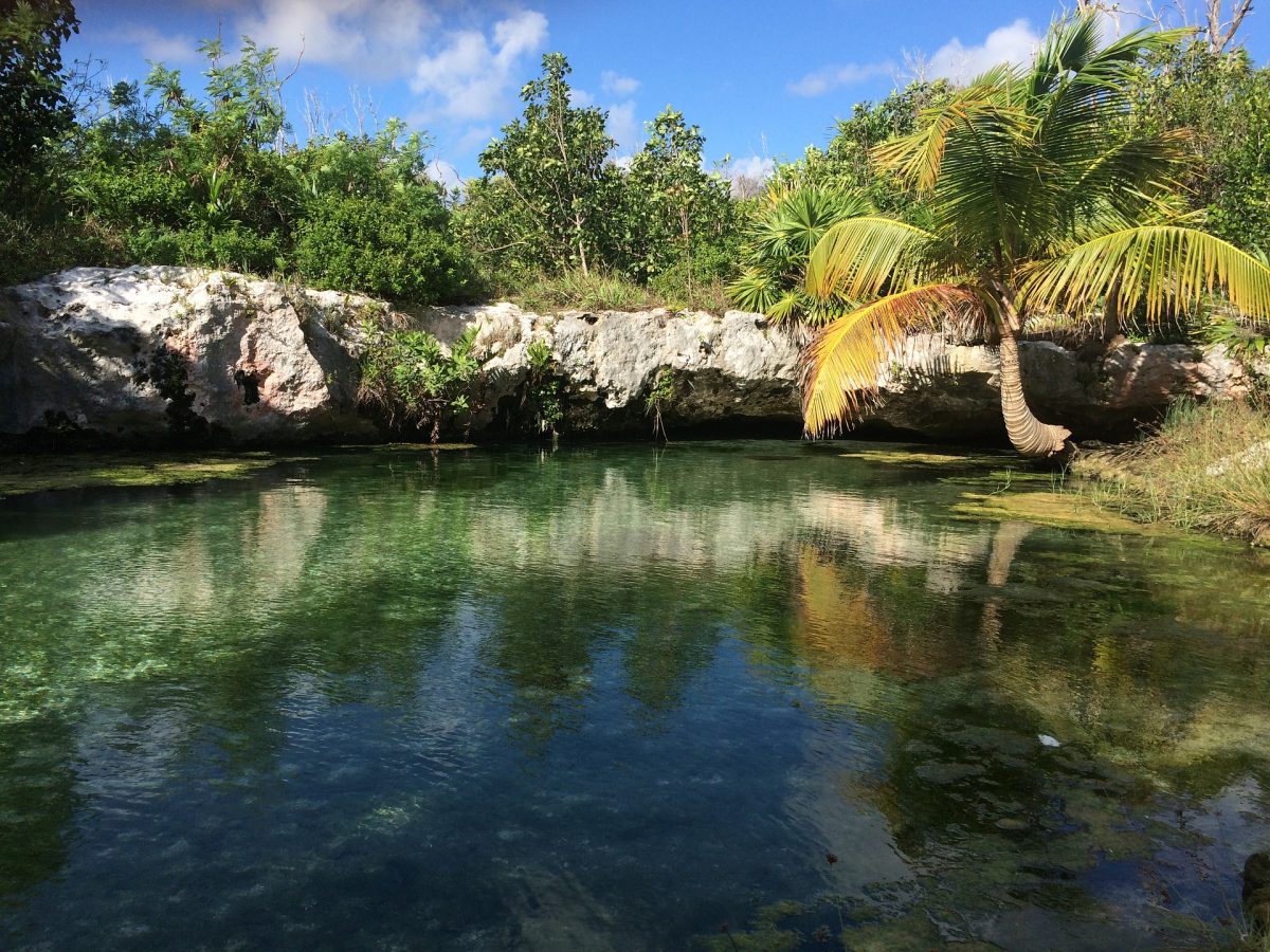 Cenotes