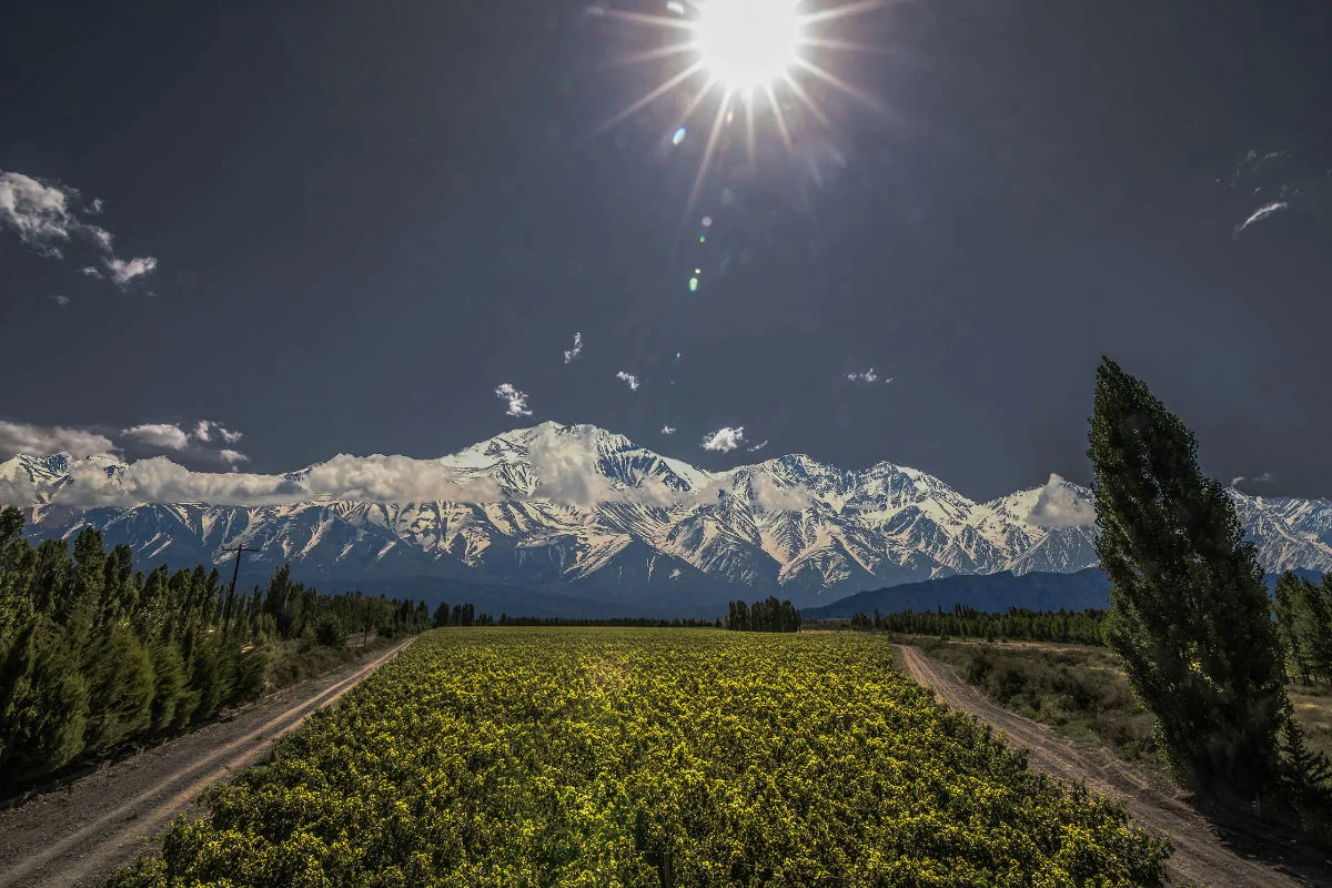 Estos vinos latinoamericanos son perfectos (según Robert Parker)