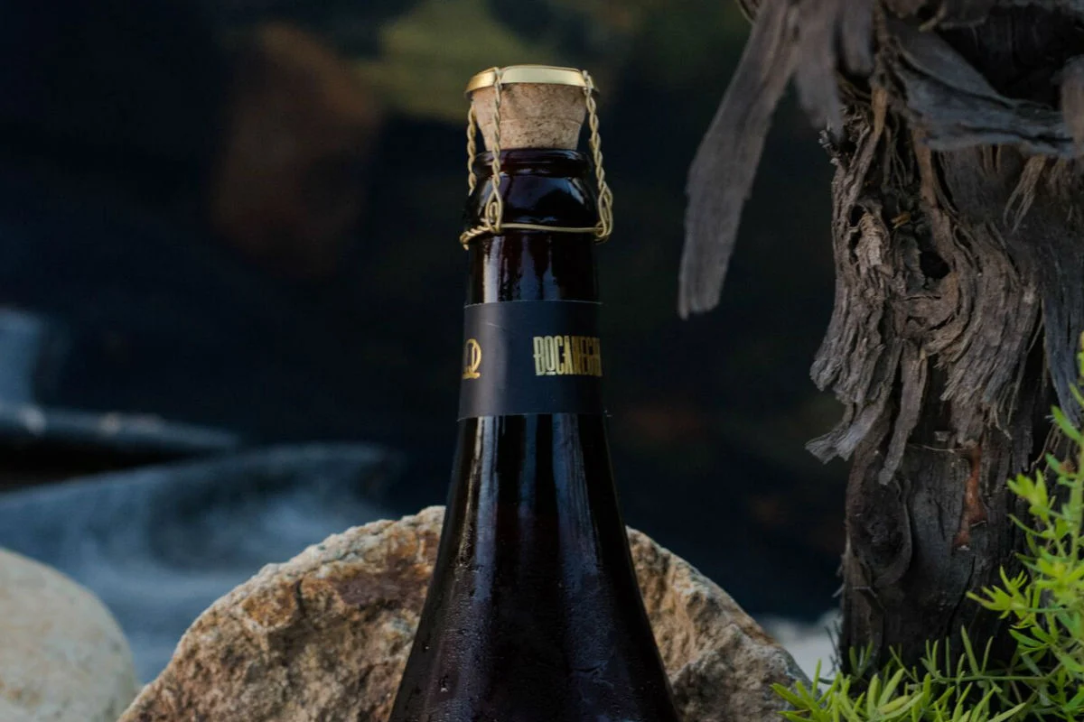 Cerveza + vino en una sola bebida ¿deberías probarla?
