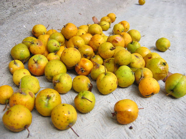 productos de otoño