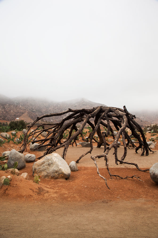 valle de guadalupe