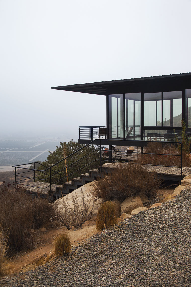 valle de guadalupe
