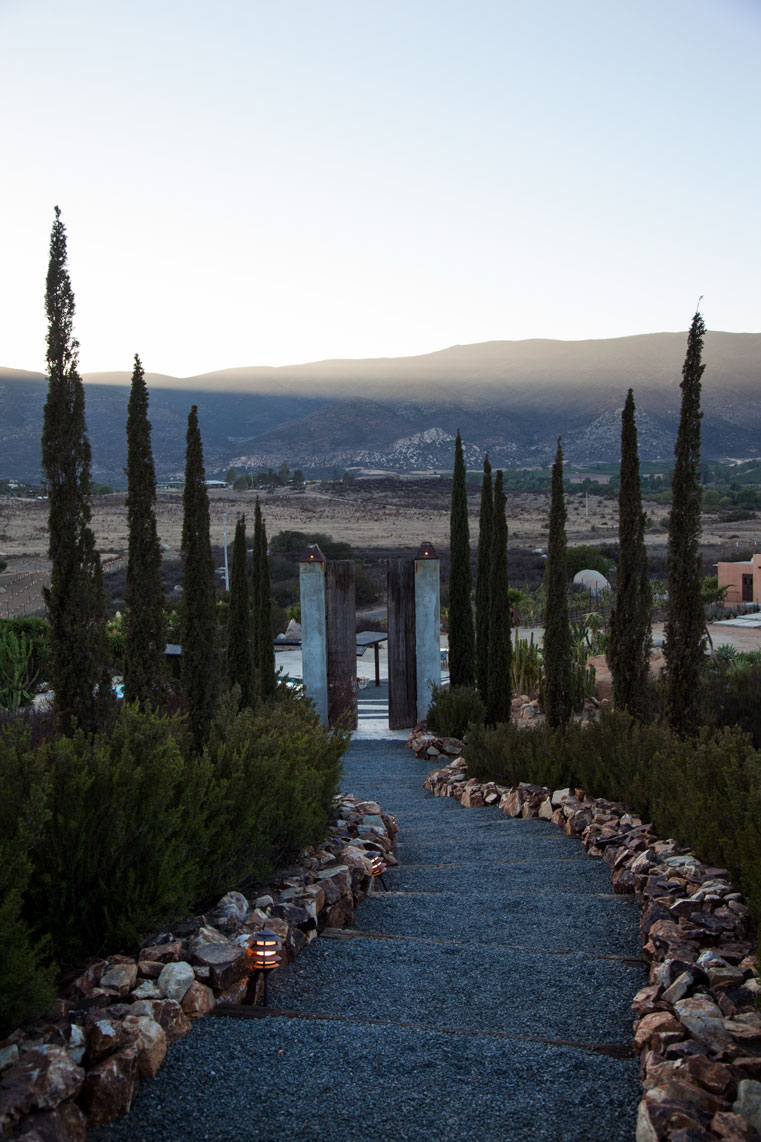 valle de guadalupe
