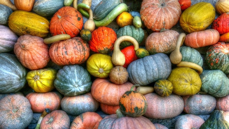 productos de otoño
