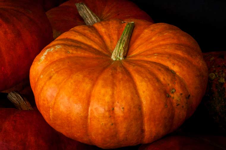 calabaza