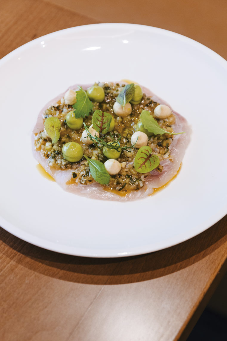 crudo lobina Margaret