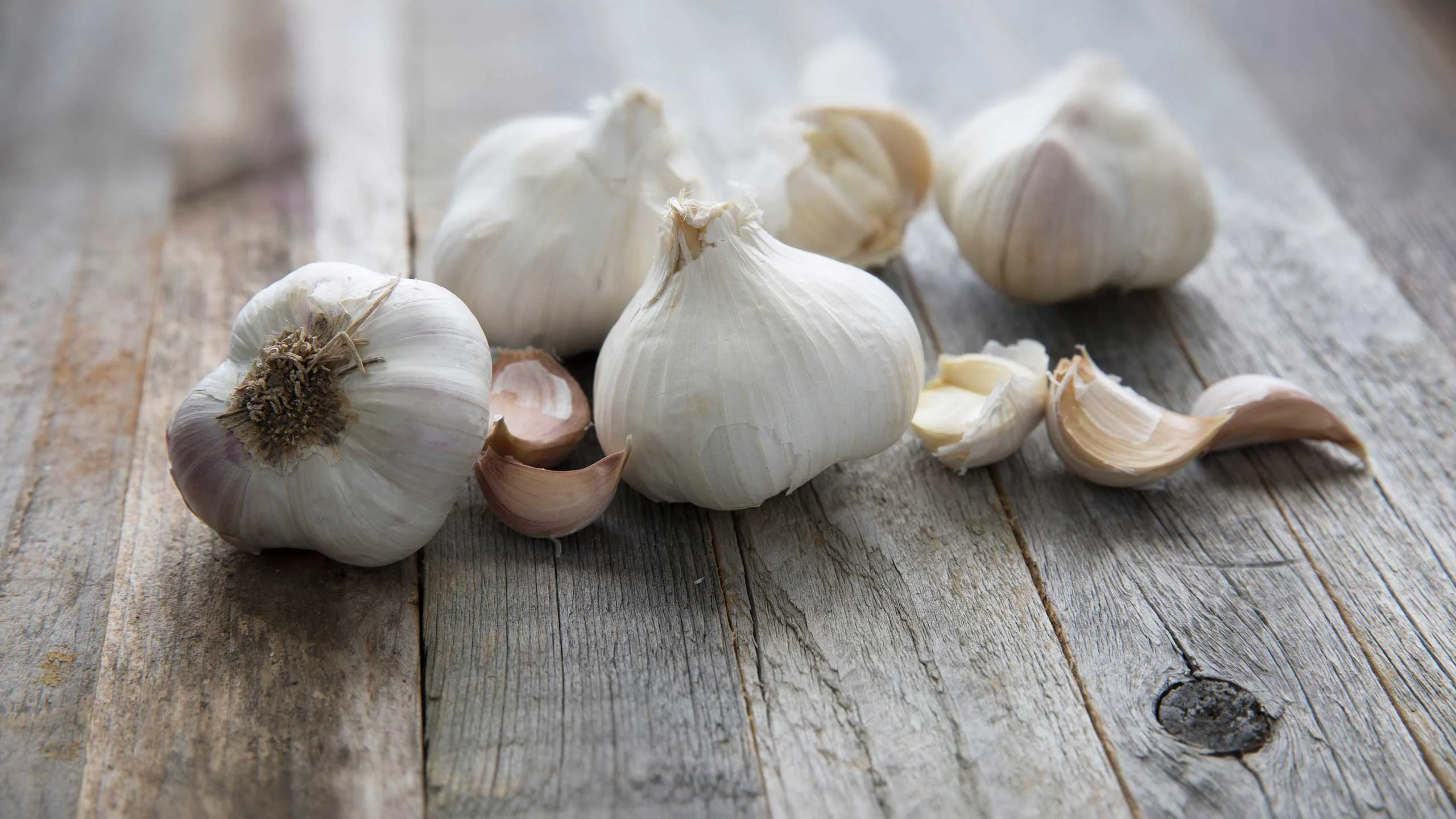 Conoce los beneficios y usos del ajo