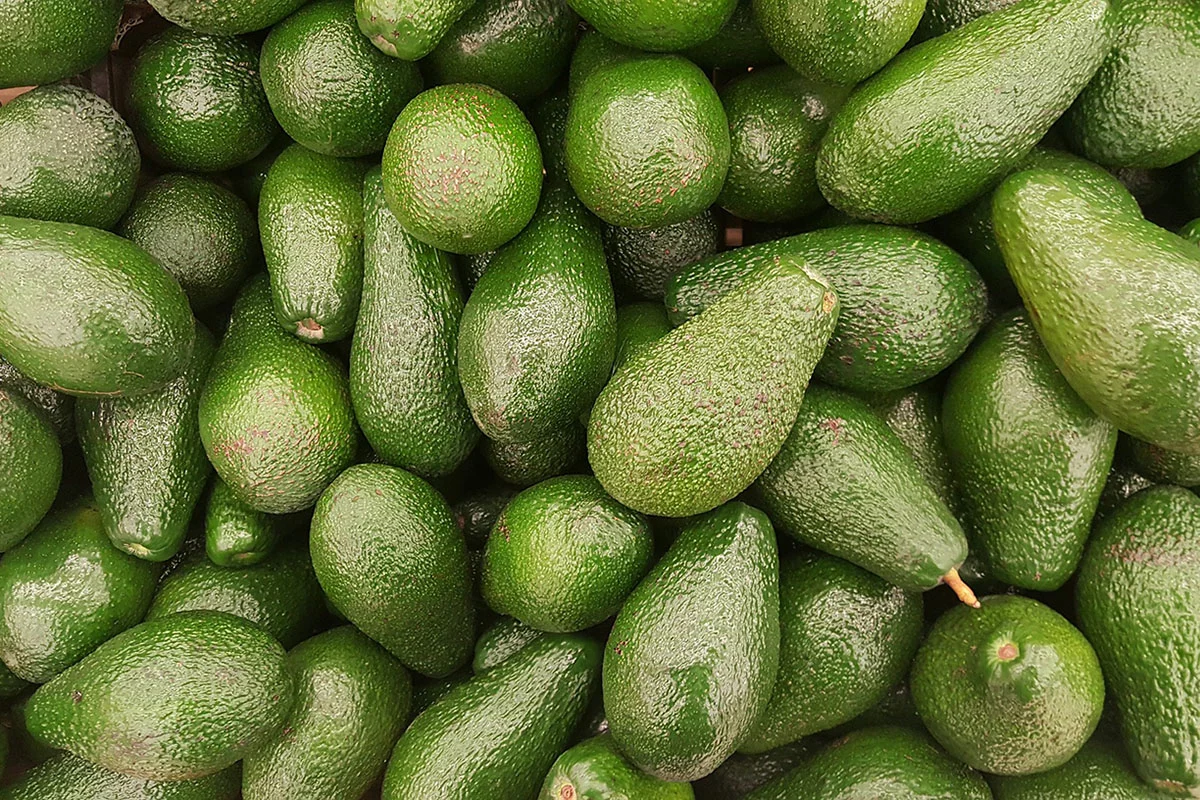 Tenemos que hablar de la huelga de productores de aguacate en México