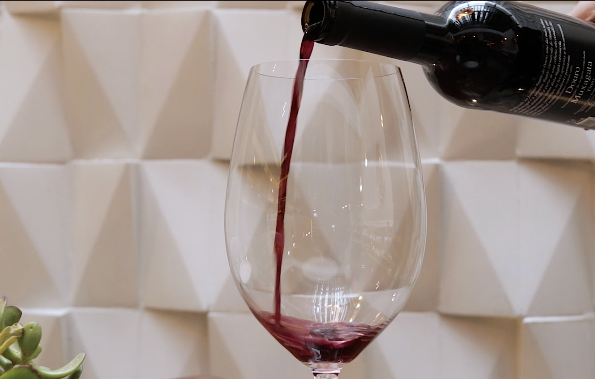 Vinos de Loretta