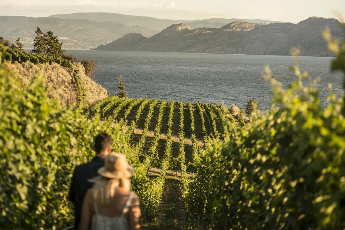 Tenemos que hablar de los vinos de la Columbia Británica