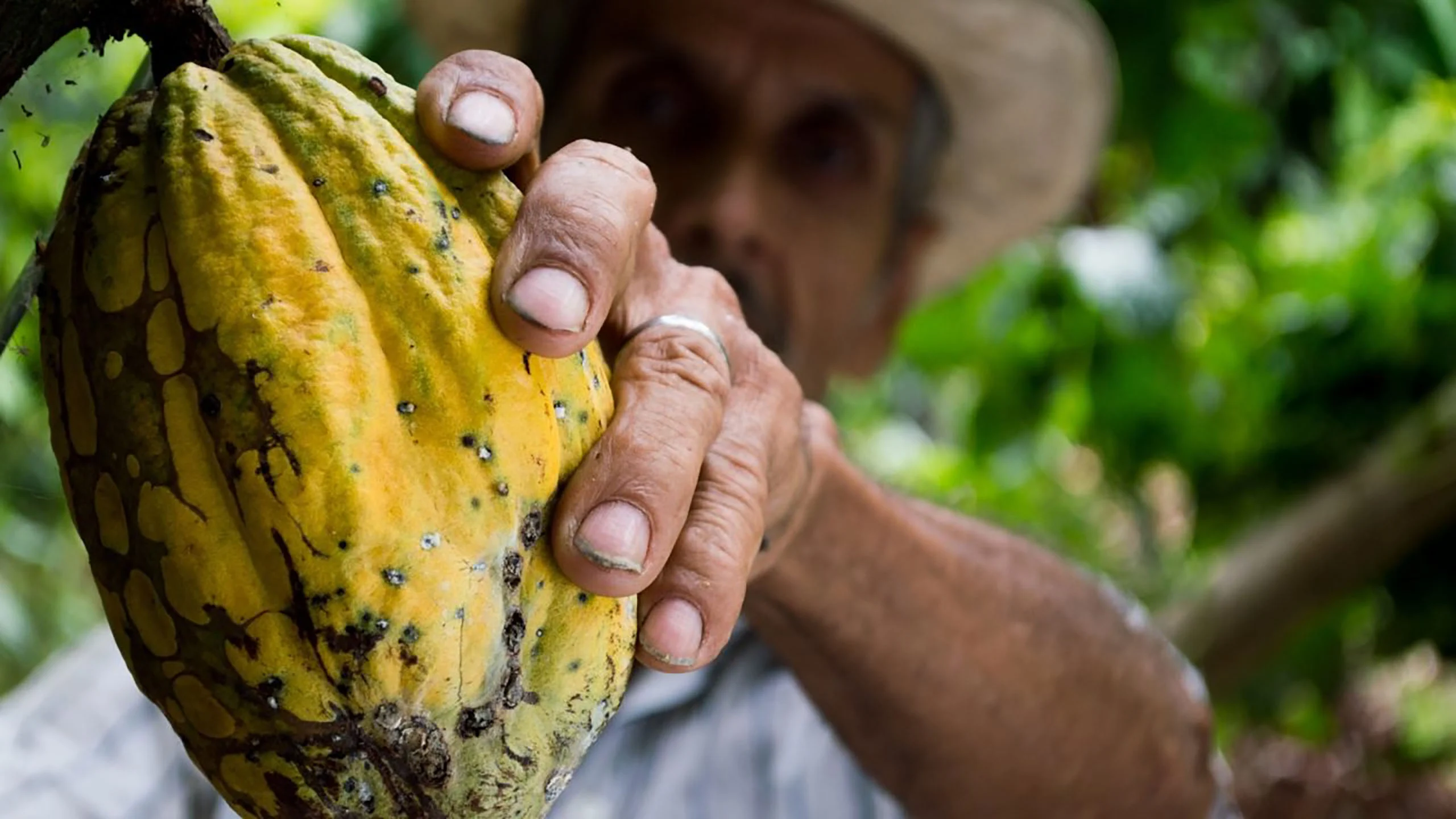México brilla en la premiación chocolatera más grande del mundo