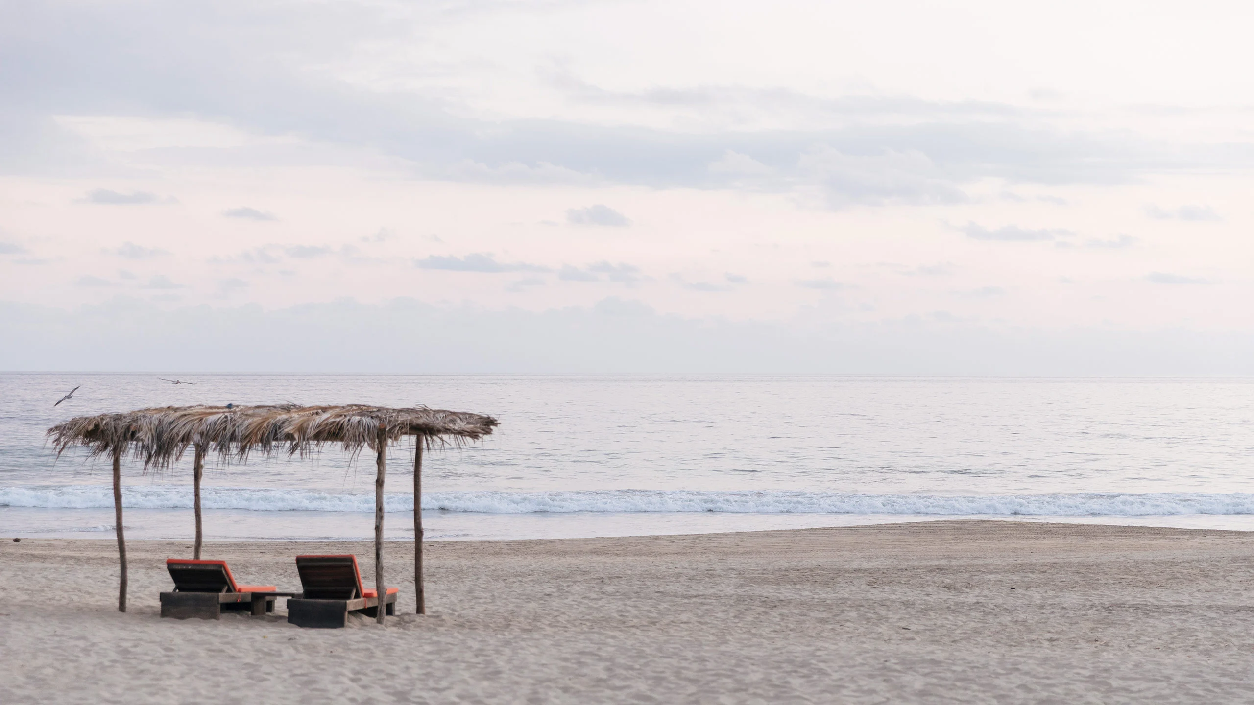 La guía para gozar de Puerto Escondido