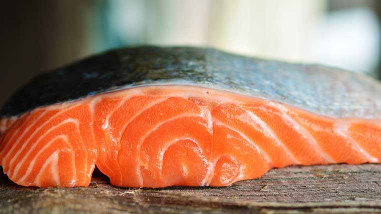 salmón
