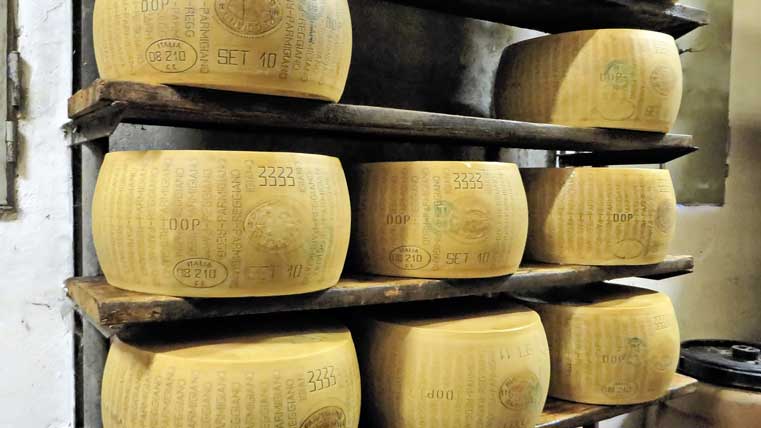 queso parmesano