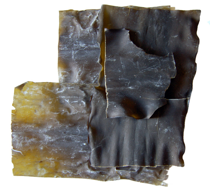 kombu superfoods