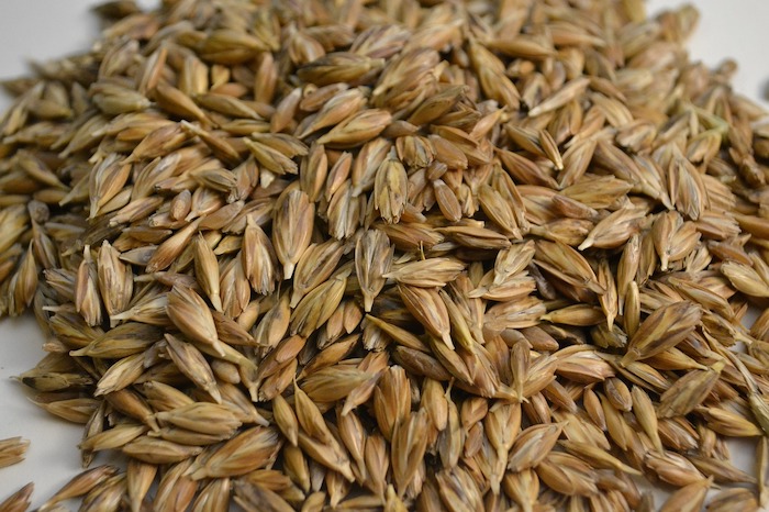 farro superfoods