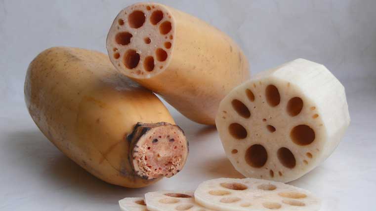 alimentos del futuro