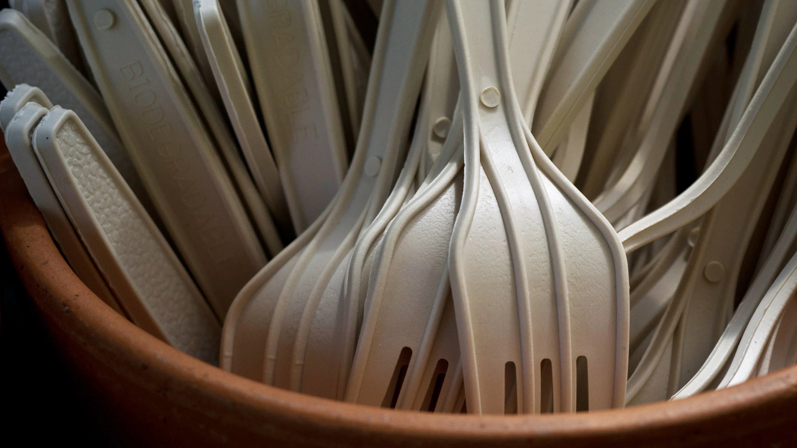 Existen platos biodegradables de maíz y piña que se pueden sembrar