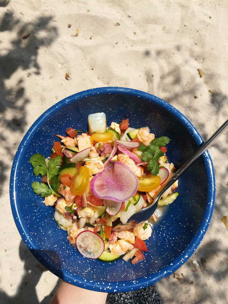 punta mita