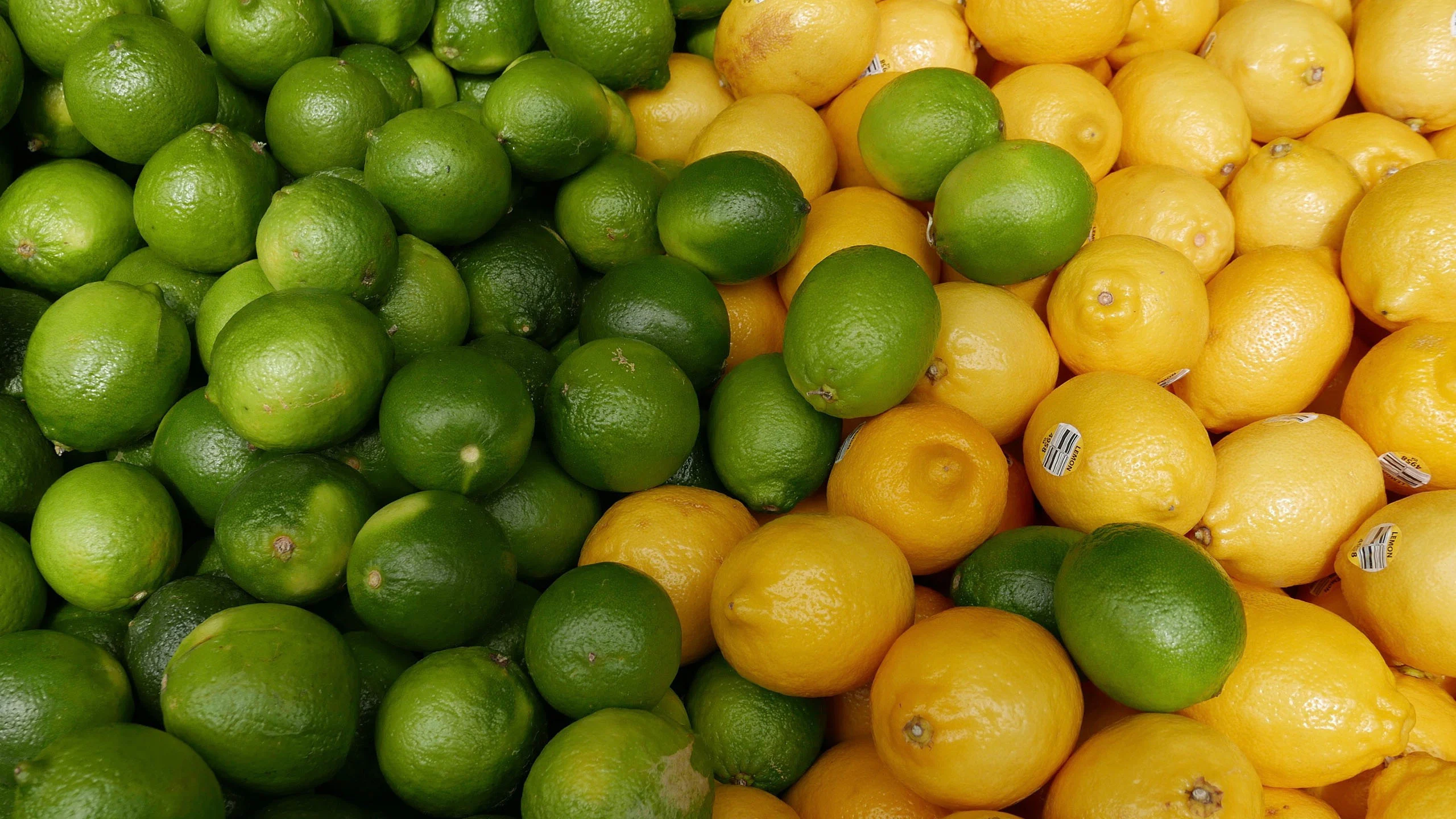 Esta estampa promete mantener la fruta fresca hasta por dos semanas