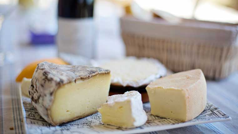 cera queso